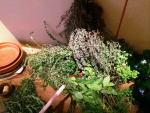 Roemerfest_2014_16-scaled.jpg