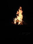 Roemerfest_2014_2_3-scaled.jpg