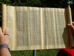 2007-Umzug-in-Petinesca_14.jpg
