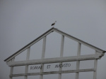2012-Augusta-Raurica-56