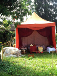 Roemerfest_2014_2_14.JPG