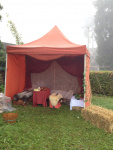 Roemerfest_2014_2_9.JPG