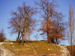 2010-Augsterlauf_19.JPG