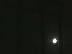 2013_roemerfest_18.jpg